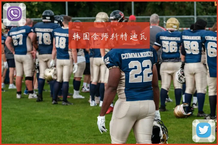 韩国会师科特迪瓦