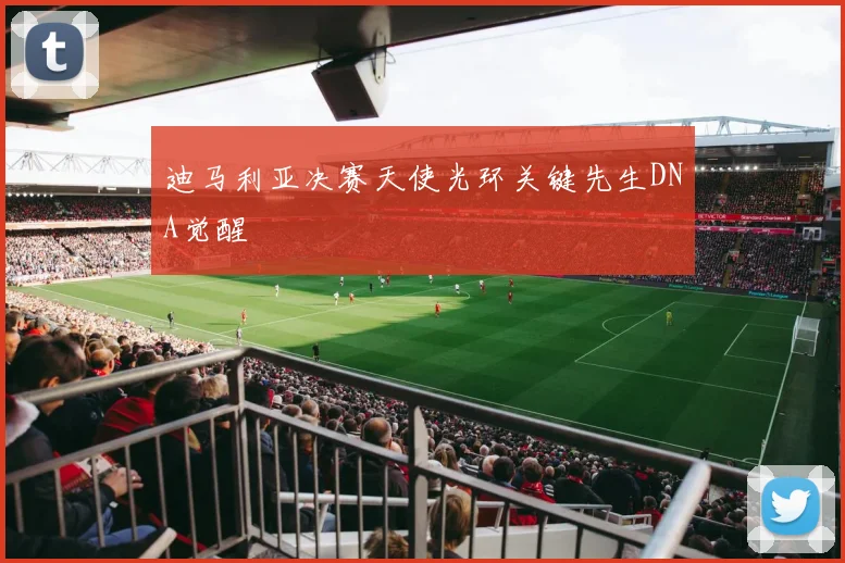 迪马利亚决赛天使光环关键先生DNA觉醒