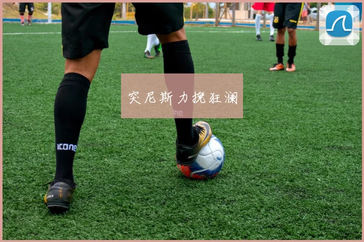 突尼斯力挽狂澜