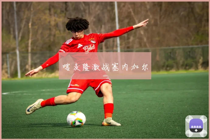 喀麦隆激战塞内加尔