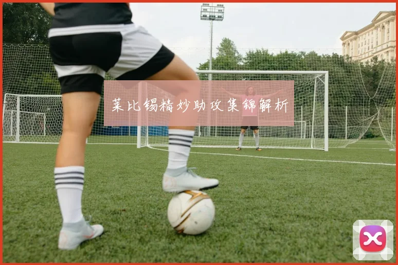 莱比锡精妙助攻集锦解析