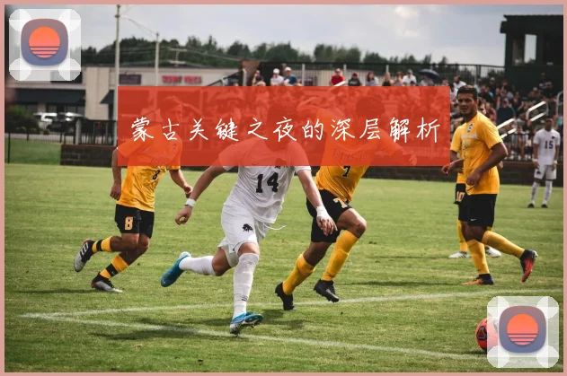 蒙古关键之夜的深层解析
