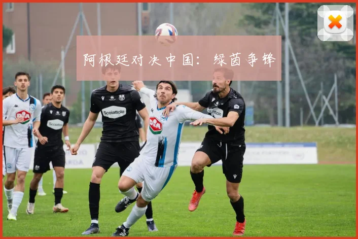 阿根廷对决中国：绿茵争锋