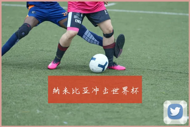 纳米比亚冲击世界杯