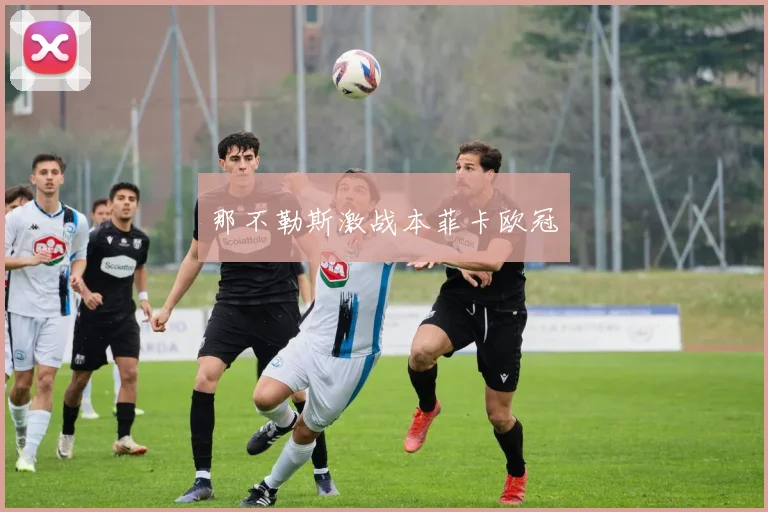 那不勒斯激战本菲卡欧冠
