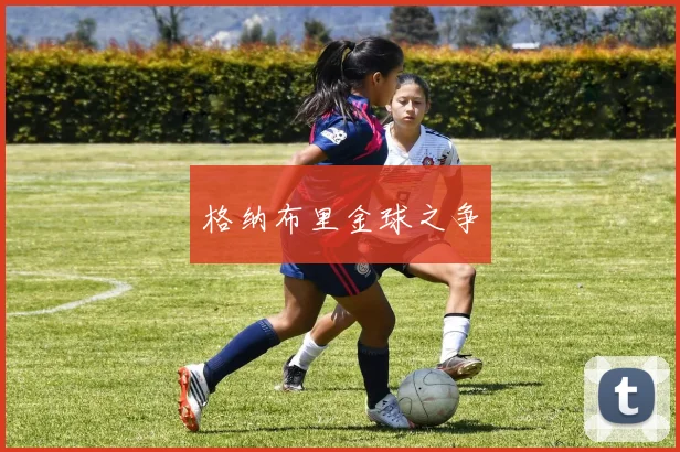格纳布里金球之争