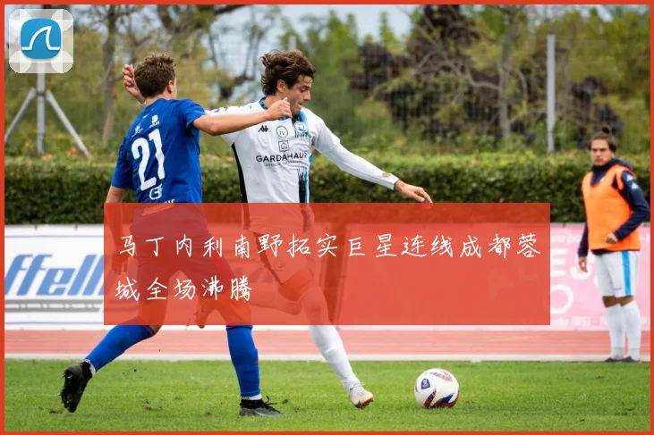 马丁内利南野拓实巨星连线成都蓉城全场沸腾