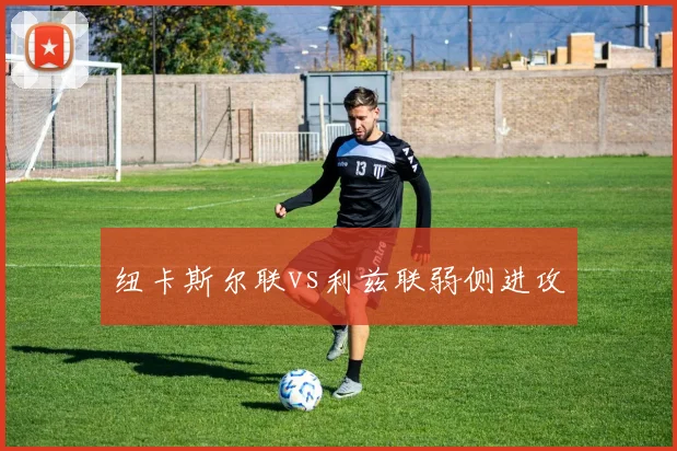 纽卡斯尔联vs利兹联弱侧进攻