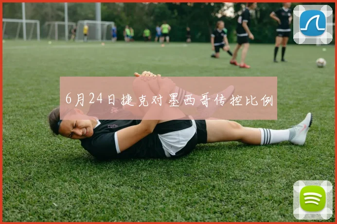 6月24日捷克对墨西哥传控比例